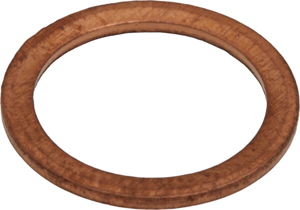 Dichtungsscheibe (X540002478000) von Agco