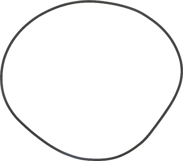 O-Ring von Deutz 215302940