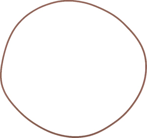 O-Ring (14469481) von New Holland