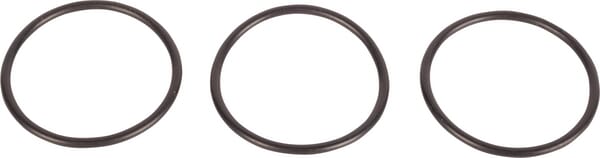 O-Ring (3010501X1) von Agco