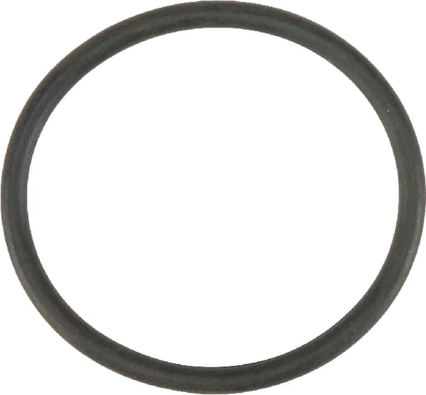 Fendt (AGCO) Dichtung Förderpumpe F816200710040