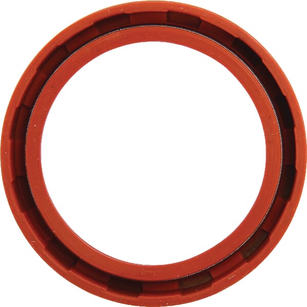 Öldichtung vorn CNH (190003074432) von Case IH