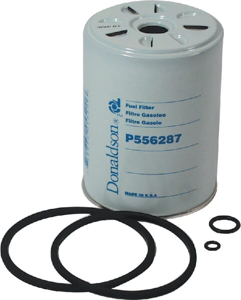 P556287 Kraftstofffilter Donaldson Kraftstofffilter Donaldson P556287