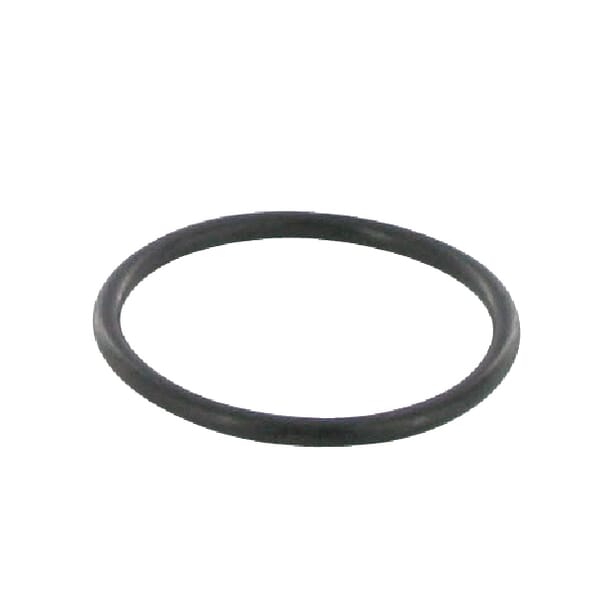 O-Ring Hubachse Case-IH (3134564R3) von Case IH