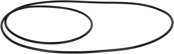 O-Ring (X549046900000) von Agco
