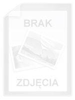 Agco Filter H260810140180