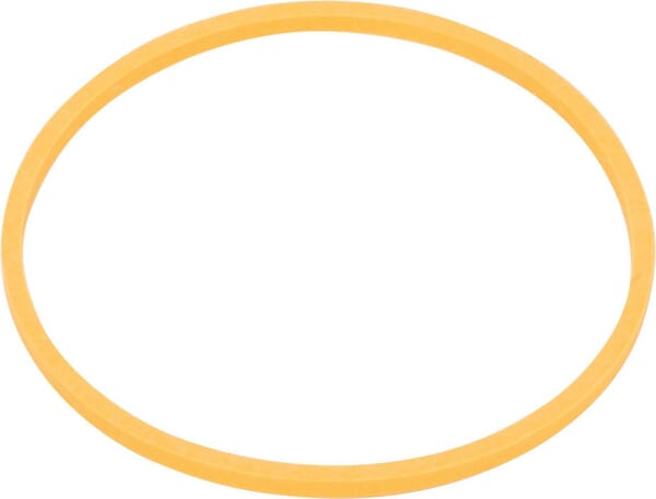 Dichtung (381485R1) von Case IH