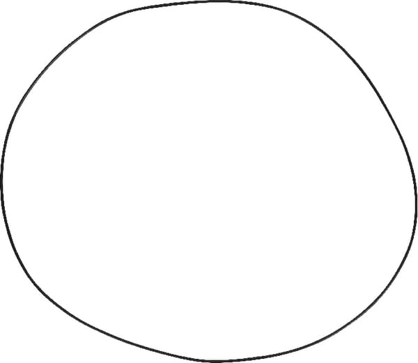 Dichtung (3010064X1) von Agco