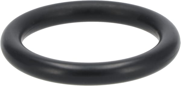 O-Dichtung von Deutz 01180975