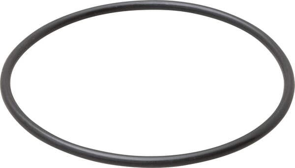 O-Ring (X548967266000) von Agco