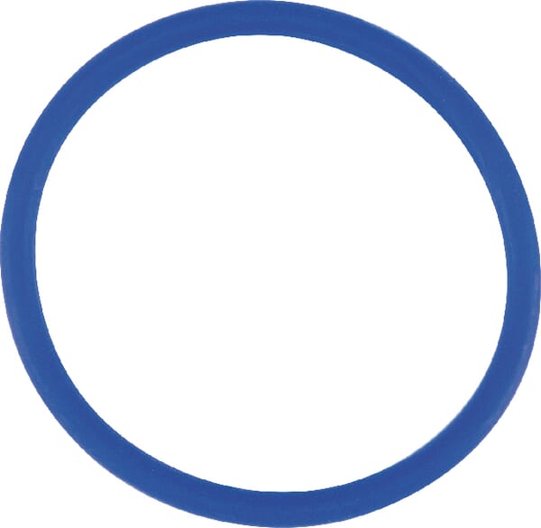 O-Ring (F168302020520) von Agco