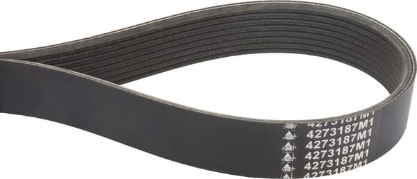 Keilriemen (4273187M1) von Agco