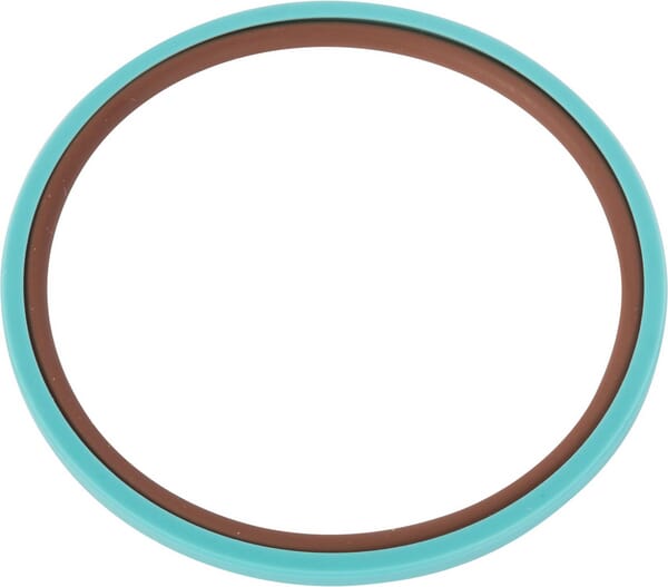 Dichtring (5196581) von Case IH