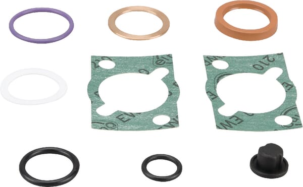 Dichtungssatz (F294100610010) von Agco