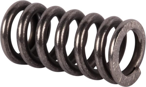 Feder (V30989500) von Agco