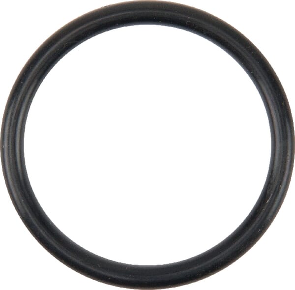 O-Ring Wasserpumpe (V614602930) von Agco