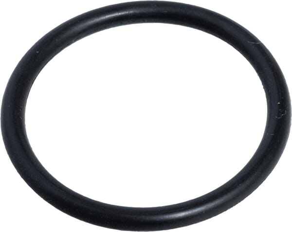 O-Ring (X590980000000) von Agco