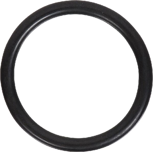 Dichtung Thermostat (V614604958) von Agco