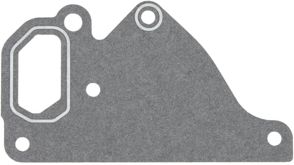 Wasserpumpendichtung (ACW352651A) von Agco