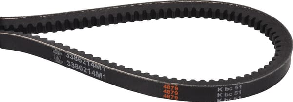 Keilriemen (3386214M1) von Agco