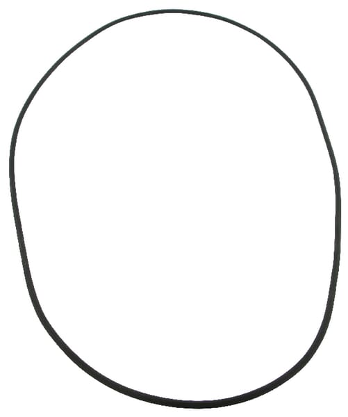 O-Ring 300x3,5 (14469580) von Case IH