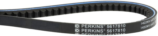 Keilriemen (1000458340) von Weidemann