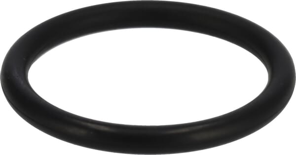 O-Dichtung von Deutz 01182545