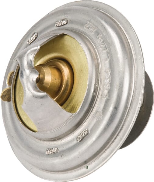 Thermostat (4224624M1) von Agco
