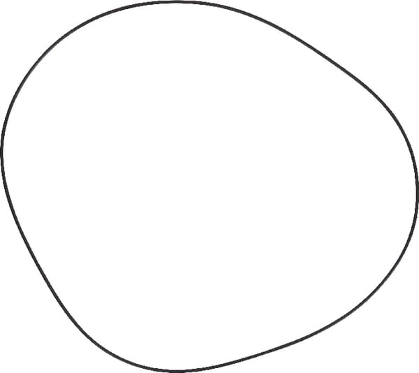 O-Ring (3611458M1) von Agco