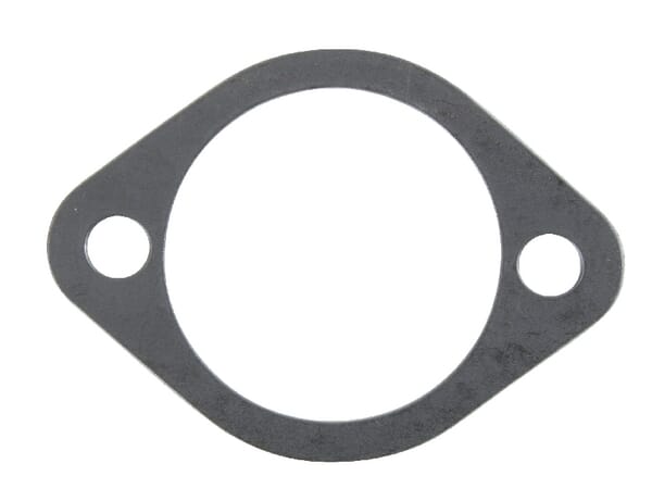Dichtung Abdeckkappe Nockenwelle (F199201310020) von Agco