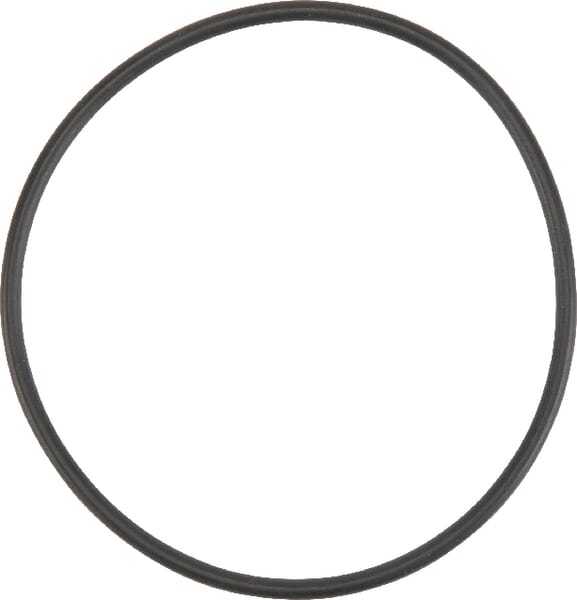 O-Ring (X548953166000) von Agco