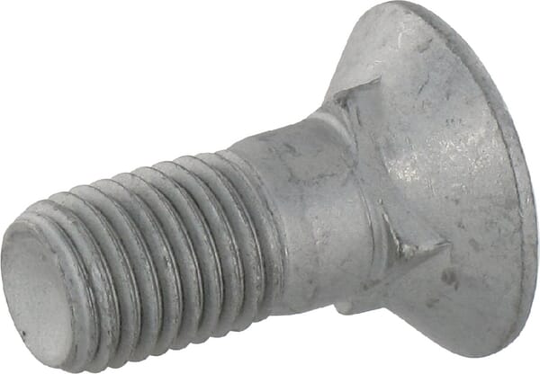 Vierkant-Pflugschraube M16x40 3016142