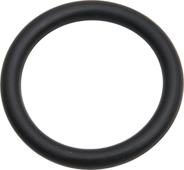 O-Ring (X548860866000) von Agco