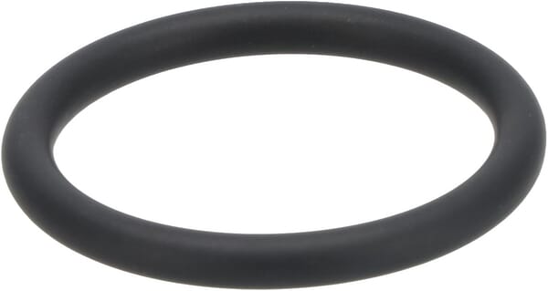 Dichtring von Deutz 01184207