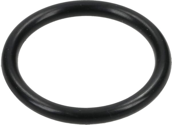 12100002 O-Ring 20,7 x 2,62 O-Ring 20,7 x 2,62 12100002