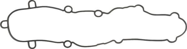 Ventildeckeldichtung (F411201210170) von Agco