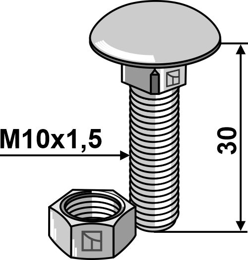 IHOF Flachrundschraube M10x1,5x30 verzinkt mit Mutter