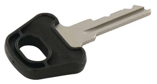 Zündschlüssel CNH (3225746R1) von Case IH