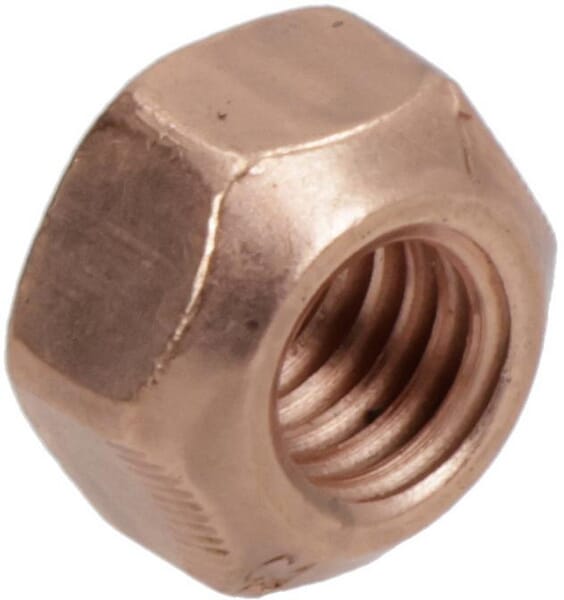 Haltemutter (F119200100060) von Agco