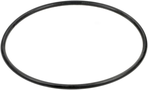 O-Ring (4289985M1) von Agco