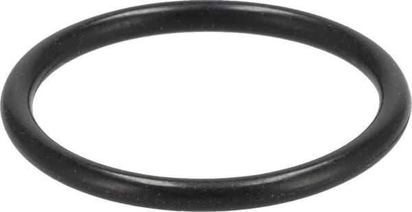 O-Ring (X548864900000) von Agco