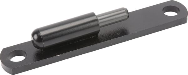 Fensterscharnier (H178810040021) von Agco