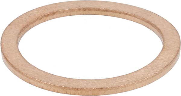 Dichtring (1000222584) von Weidemann