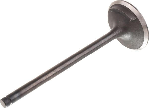 Einlassventil Motor (4821710) von New Holland