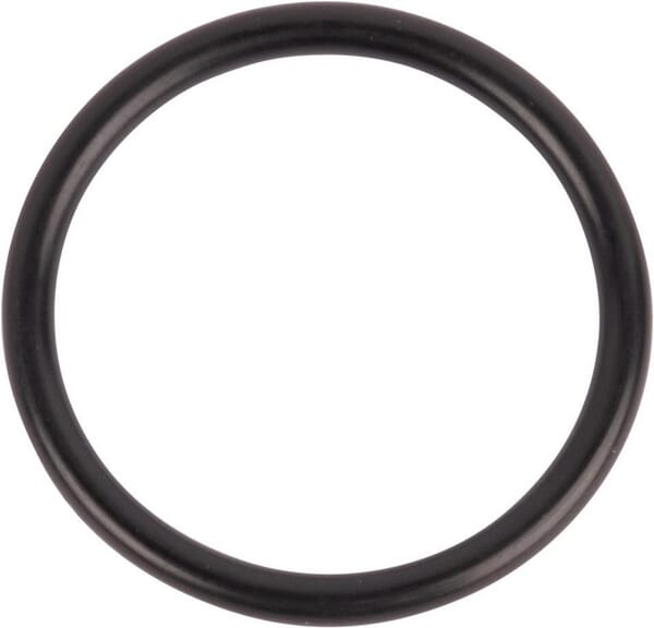 O-Ring (167268) von New Holland