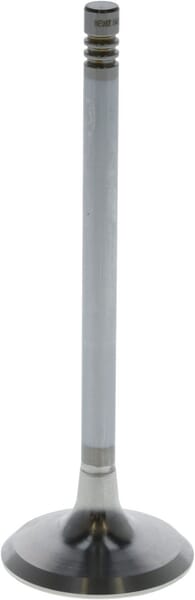 Einlassventil von Deutz 04234953