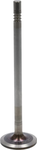 Einlassventil von Deutz 04911394