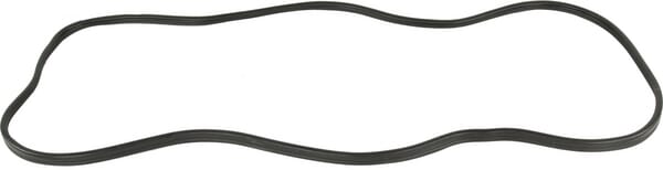 Türglasdichtung (84396397) von Case IH