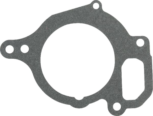 Dichtungen Wasserpumpe CNH (132000060714) von Case IH