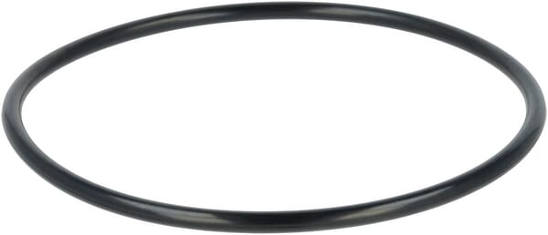 O-Ring (F339860060010) von Agco